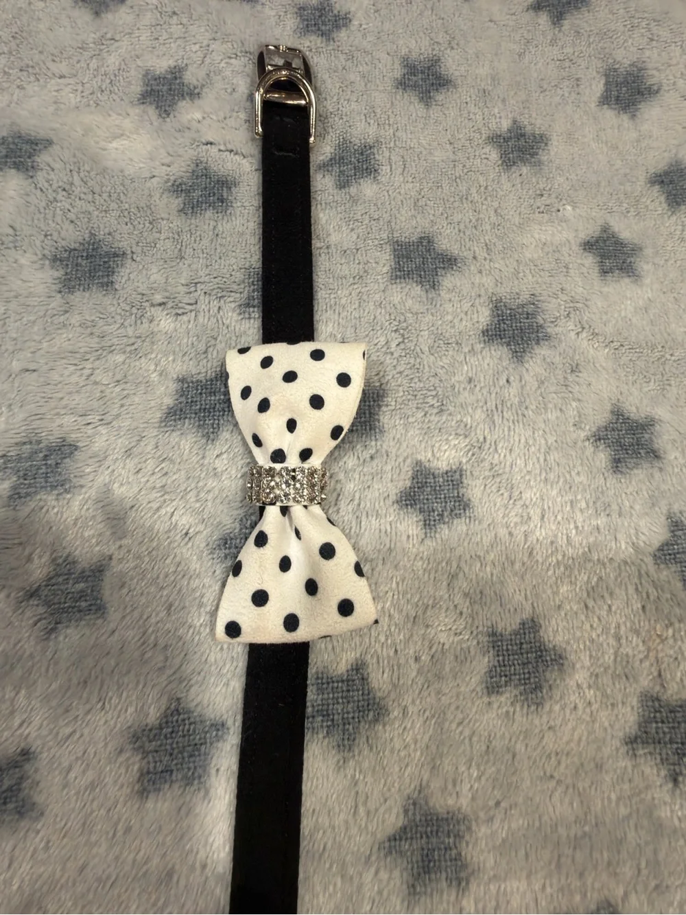 Susan Lanci Black Dog Collar with White Polka Dot Bow small nouveau bow